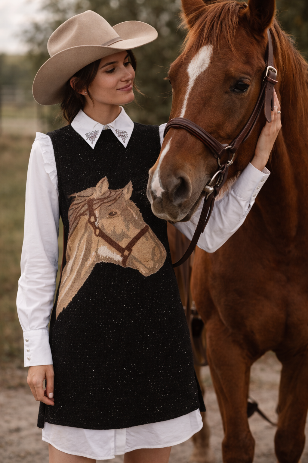 Western Horse Sweater Dress